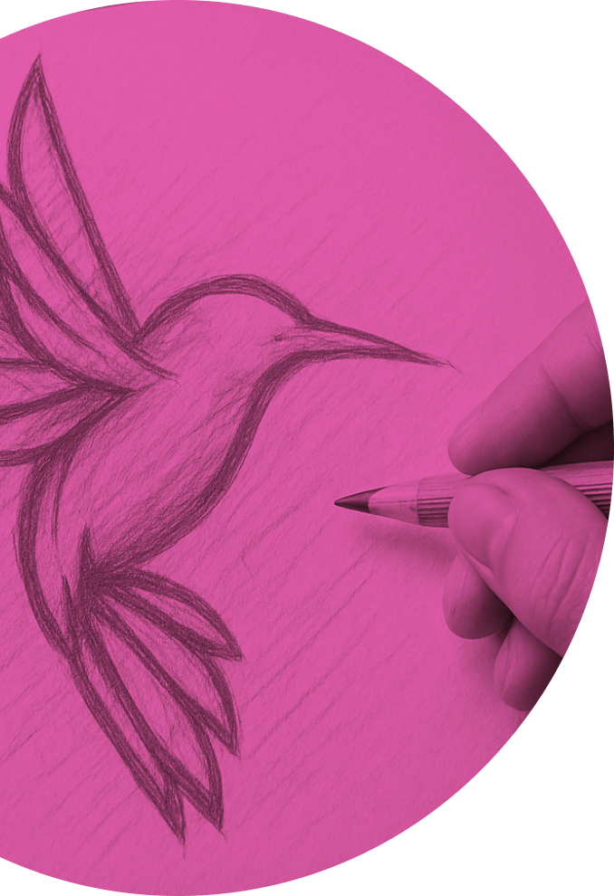 a hand drawing a bird